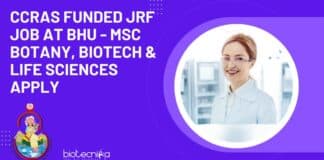 BHU JRF Job 2023