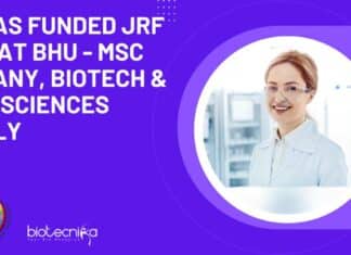 BHU JRF Job 2023