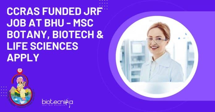 BHU JRF Job 2023