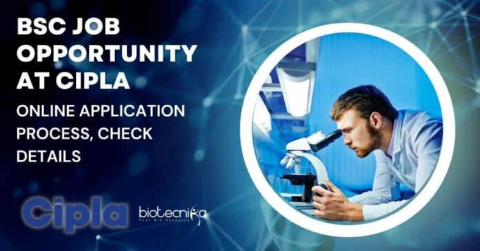 BSc Job Vacancy Cipla