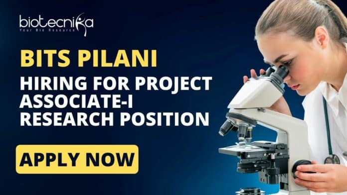 BITS PILANI Hyderabad Job