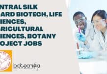 Central Silk Board Biotech, Life Sciences, Agricultural Sciences, Botany Project Jobs CSB Project Job Vacancies