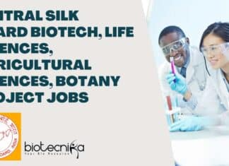 CSB Project Job Vacancies