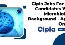 Cipla Jobs 2023