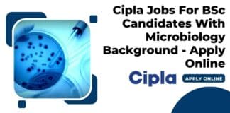 Cipla Jobs 2023