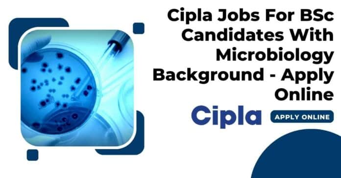 Cipla Jobs 2023