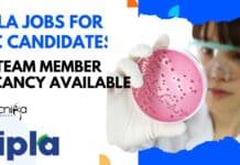 Cipla Jobs For BSc Candidates – Jr. Team Member Vacancy Available Cipla Jobs For BSc