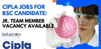 Cipla Jobs For BSc