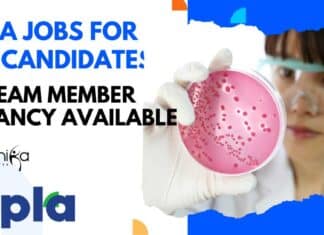 Cipla Jobs For BSc
