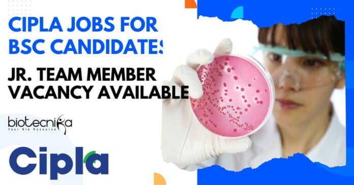Cipla Jobs For BSc