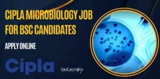 Cipla Microbiology Vacancy