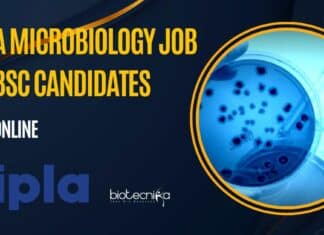 Cipla Microbiology Vacancy