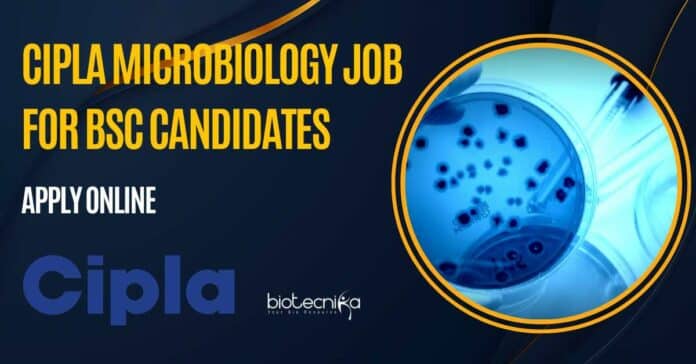 Cipla Microbiology Vacancy