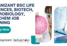 Cognizant BSc Life Sciences, Biotech, Microbiology, Biochem Job Opening, Apply Now Cognizant BSc Life Sciences