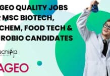 DIAGEO Quality Jobs