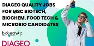 DIAGEO Quality Jobs