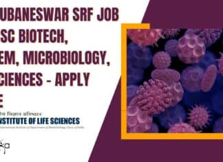 Government Jobs in Bhubaneswar