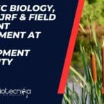Govt MSc Biology, Botany JRF & Field Assistant Recruitment at Chilika Development Authority Govt MSc Botany Jobs