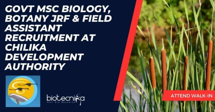 Govt MSc Botany Jobs