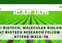 IARI Biotech, Molecular Biology & Plant Biotech Research Fellow Job, Attend Walk-In IARI Biotech Fellow Job