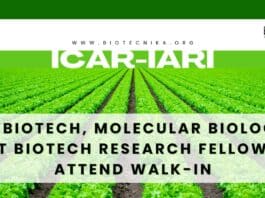 IARI Biotech Fellow Job