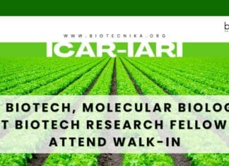 IARI Biotech Fellow Job