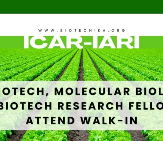 IARI Biotech Fellow Job