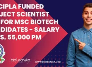 ICT Project Scientist Job