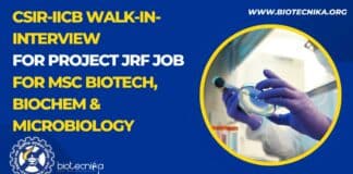 IICB Project Opening Available