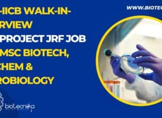 IICB Project Opening Available