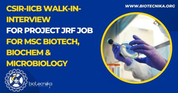IICB Project Opening Available