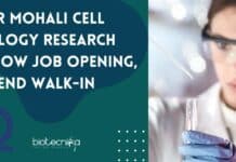 IISER Mohali Cell Biology Research Fellow Job Opening, Attend Walk-In IISER Mohali Cell Biology