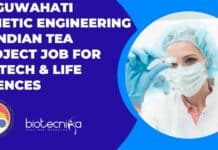IIT Guwahati Genetic Engineering in Indian Tea Project Job For Biotech & Life Sciences IIT Guwahati Genetic Engineering