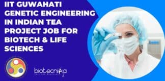 IIT Guwahati Genetic Engineering
