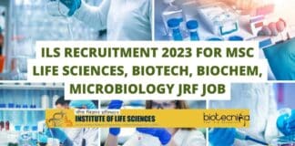 ILS Recruitment 2023