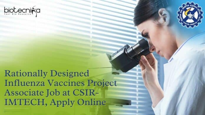 IMTECH Vacancies Available 2023