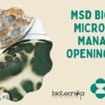 MSD Biology & Microbiology Manager Job Opening, Apply Online MSD Biology & Microbiology