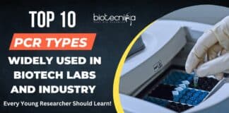 Top 10 PCR Types