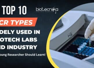 Top 10 PCR Types