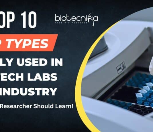 Top 10 PCR Types