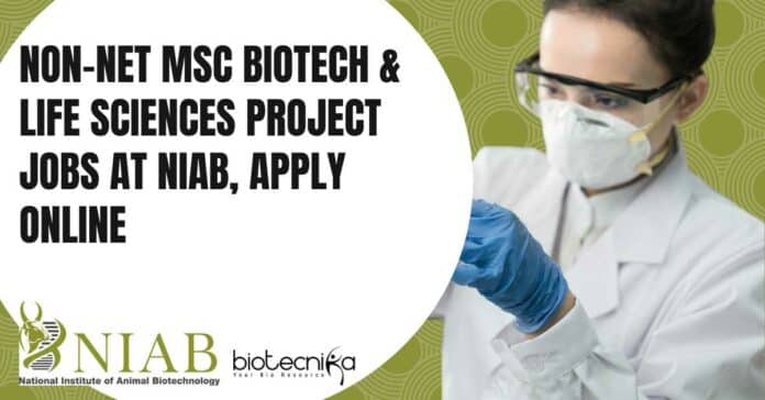 NIAB MSc Biotech Project