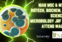 NIAB MSc & MTech Biotech, Biochem, Life Sciences & Microbiology JRF Job, Attend Walk-In NIAB MSc & MTech