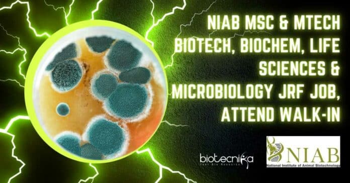 NIAB MSc & MTech