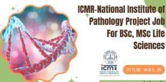 NIP JRF Vacancy