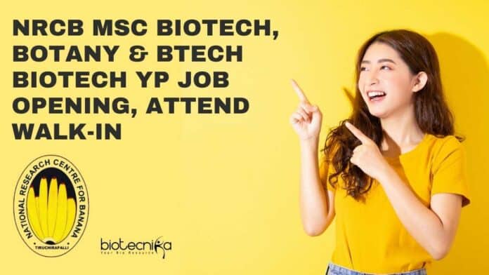 NRCB Young Professional Job
