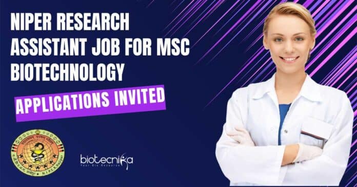 NIPER Research Assistant Job For MSc Biotechnology, Applications Invited