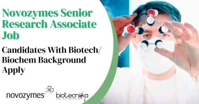 Novozymes Senior Research Associate