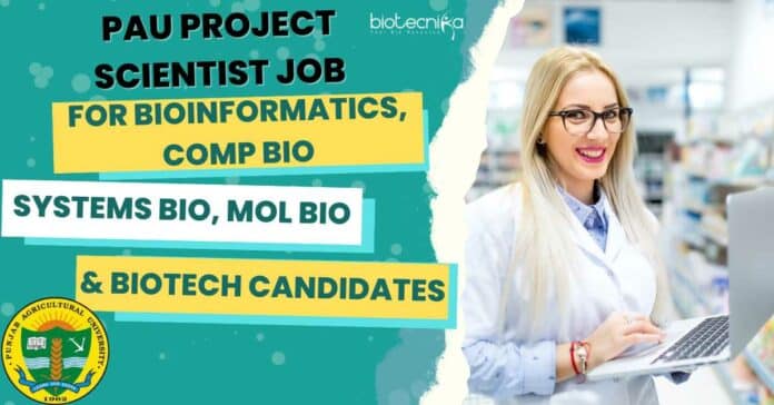 PAU Project Scientist Job