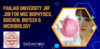 Panjab University JRF Job