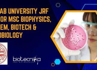 Panjab University JRF Job